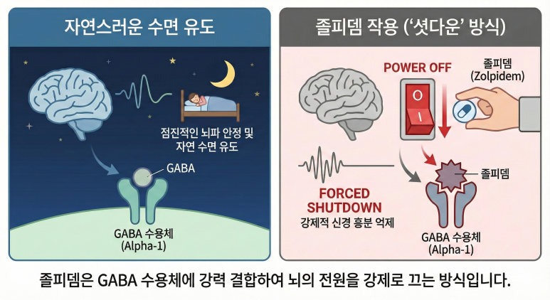 졸피뎀은 GABA 수용체에 강력 결합하여 뇌의 전원을 강제로 끄는 방식입니다.